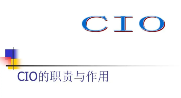 在企业信息化的过程中，CIO扮演怎样一种角色